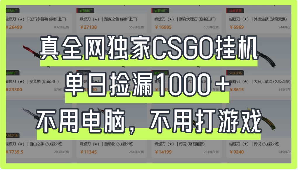 真全网独家CSGO挂机，单日捡漏1000+，不用电脑，不用养号 第1张